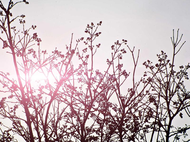 sudoku speed solving screenshot 5